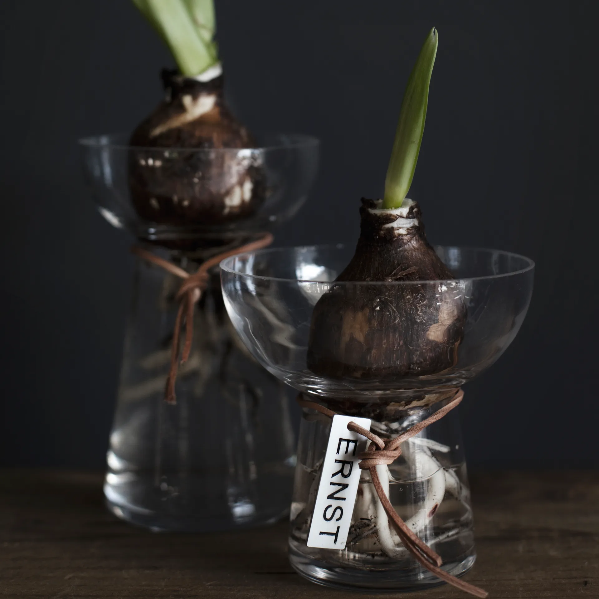 Ernst hyasinttimaljakko 15 cm, Kirkas ERNST