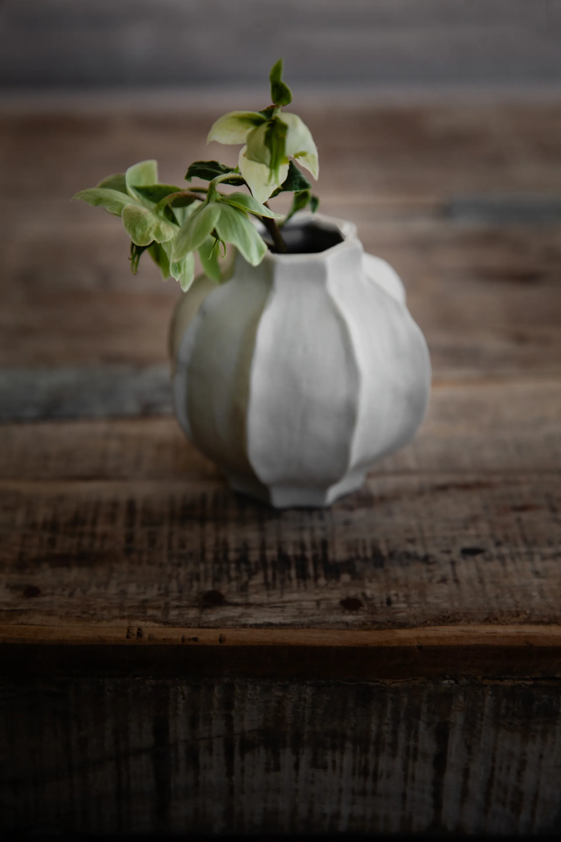 Ernst maljakko aaltoileva raita, 10 cm ERNST