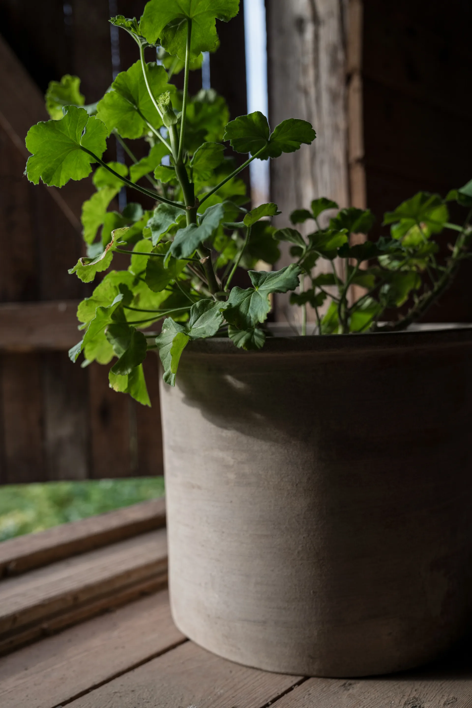 Ernst terrakotta ruukku 2 osaa, Ruskea ERNST