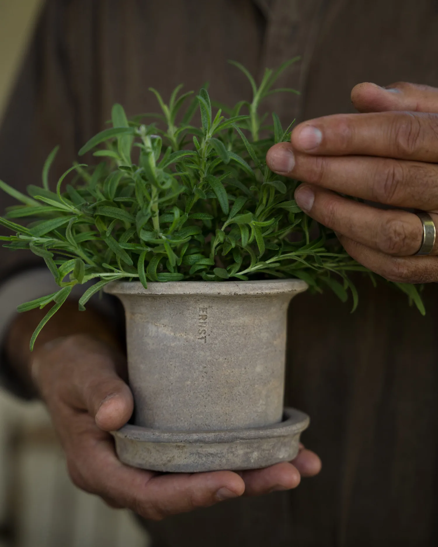 Ernst terrakottaruukku aluslautasella, Ø12×10 cm ERNST