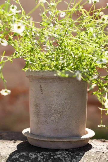 Ernst terrakottaruukku aluslautasella - Ø16×16 cm - ERNST