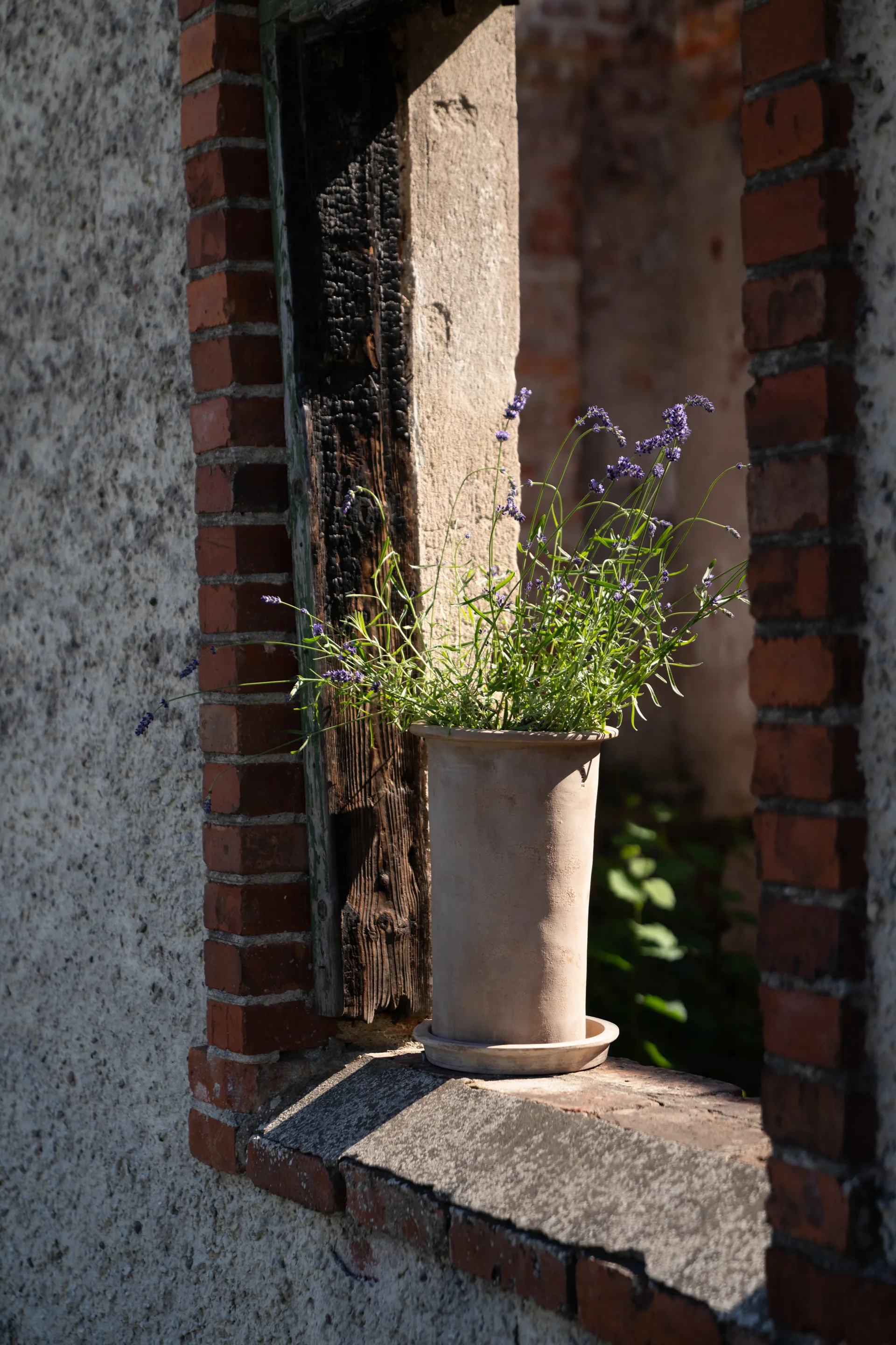 Ernst terrakottaruukku aluslautasella, Ø25×35 cm ERNST