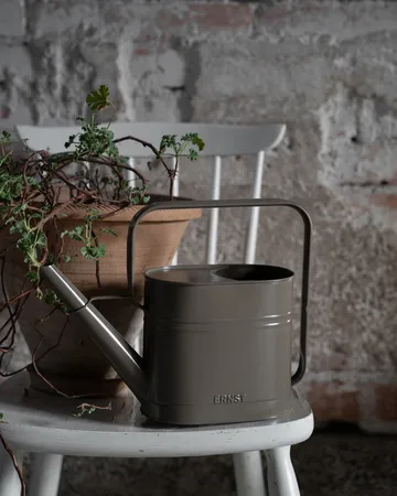 Ernst vesikannu - Mäyrä, 3 L - ERNST