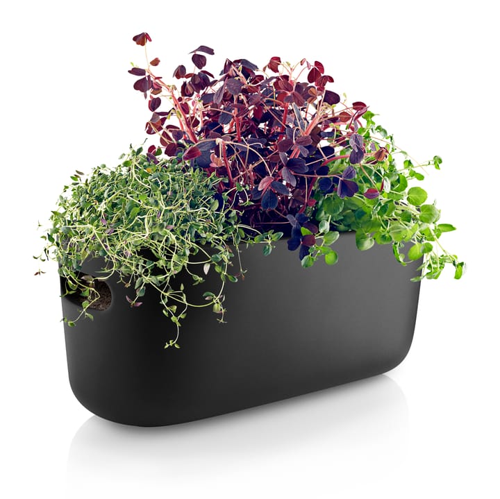 Eva Solo herb organiser, itsekasteleva, Musta Eva Solo