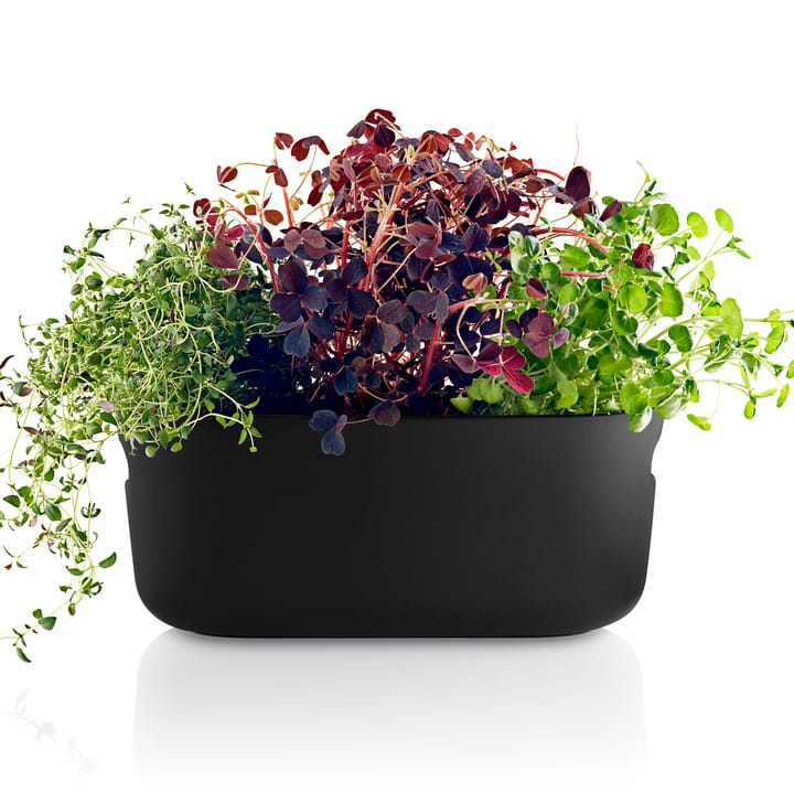 Eva Solo herb organiser, itsekasteleva, Musta Eva Solo