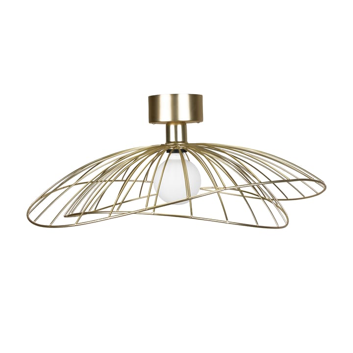 Ray plafondi - harjattu messinki - Globen Lighting