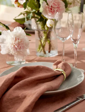 Sunshine-pellavalautasliina 4 kpl - Grounded, 45x45 cm - Himla