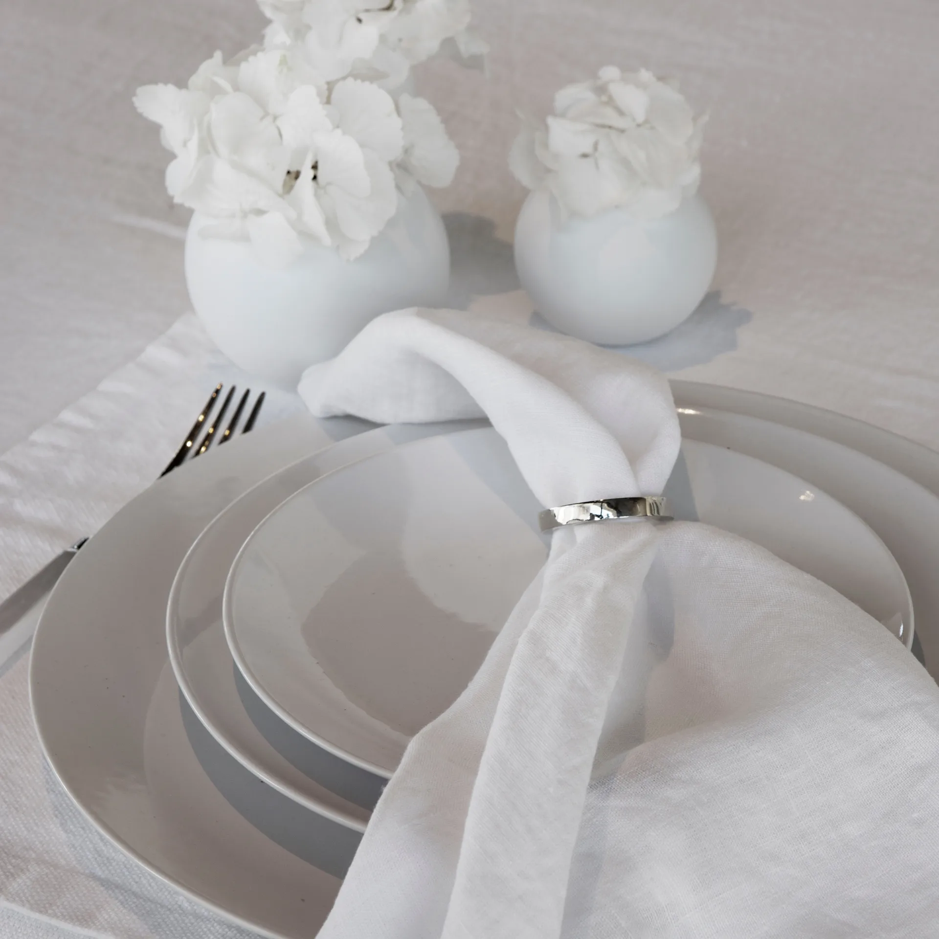 Vasa servettirengas, 4-pakkaus, Hopea Himla