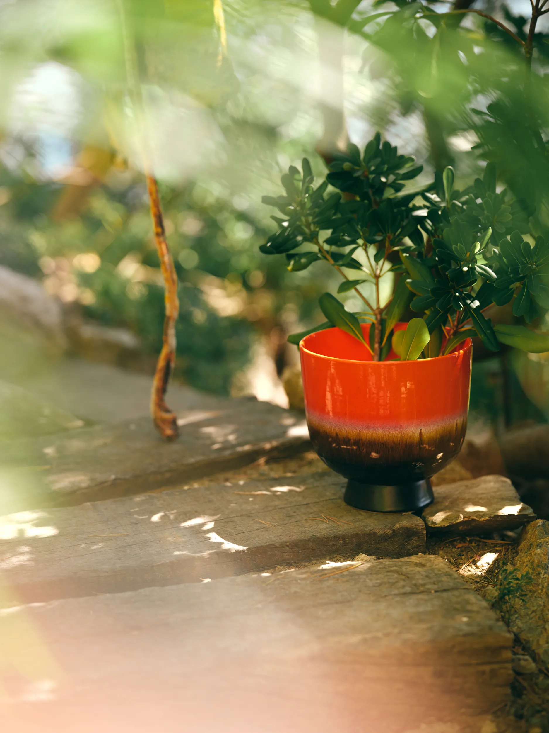 Retro kukkaruukku Ø20,5 cm, Cherry red HKliving