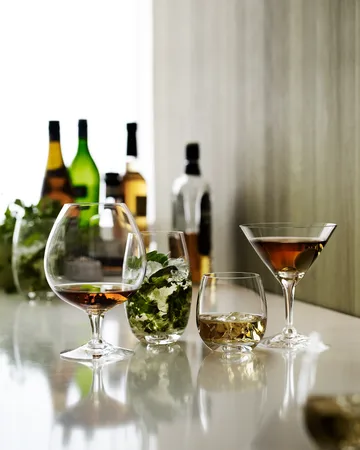 Fontaine cocktaillasi  - 25 cl - Holmegaard