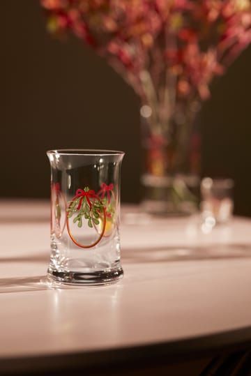 Holmegaard Christmas jouluvesilasi 28 cl - 2025 - Holmegaard