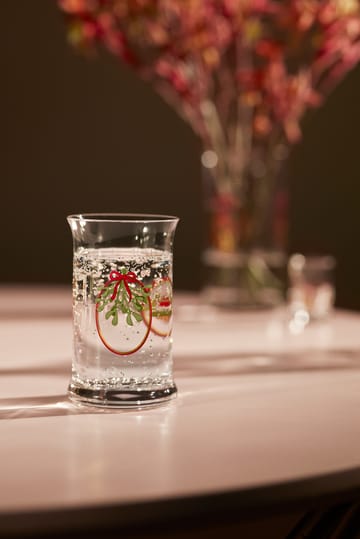 Holmegaard Christmas jouluvesilasi 28 cl - 2025 - Holmegaard