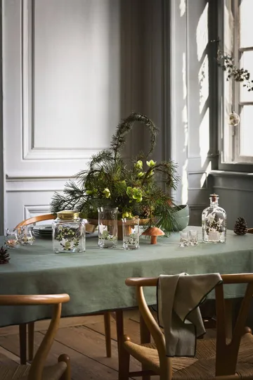 Holmegaard Christmas jouluvesilasi 28 cl - 2026 - Holmegaard