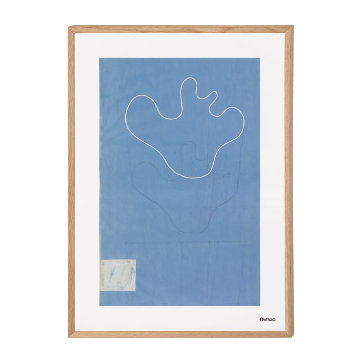 Aalto art Sketch blue juliste, 50x70 cm Iittala