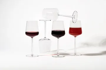 Essence lasisetti 24 osaa - Iittala