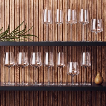 Essence-olutlasi 2 kpl - 2 kpl - Iittala