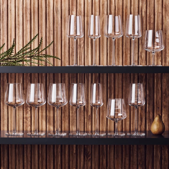 Essence-olutlasi 2 kpl, 2 kpl Iittala