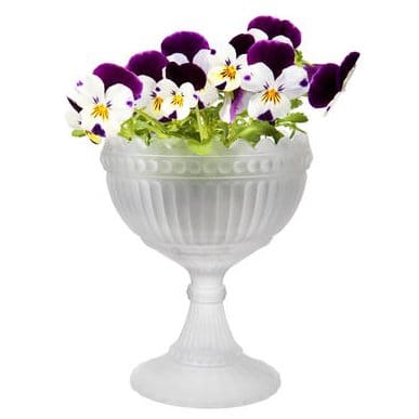 Mariskooli iso, huurrutettu Iittala
