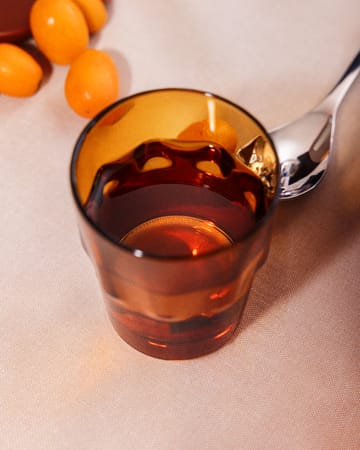 Solare juomalasi 31 cl 2-pack - Kupari - Iittala