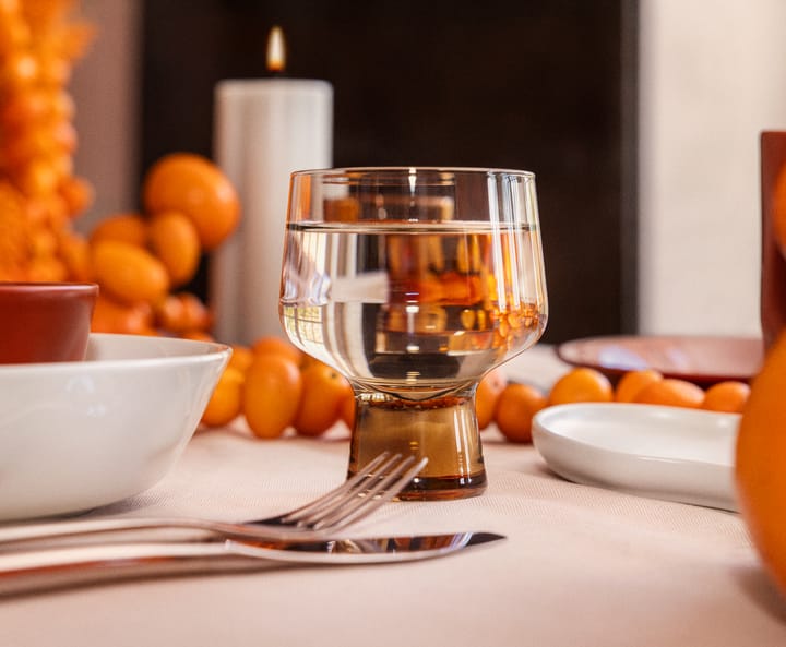 Solare lasi jalalla 29 cl 2-pack., Liina Iittala