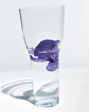 Solare vaasi korkea Ø12x26 cm - Kirkas - Iittala