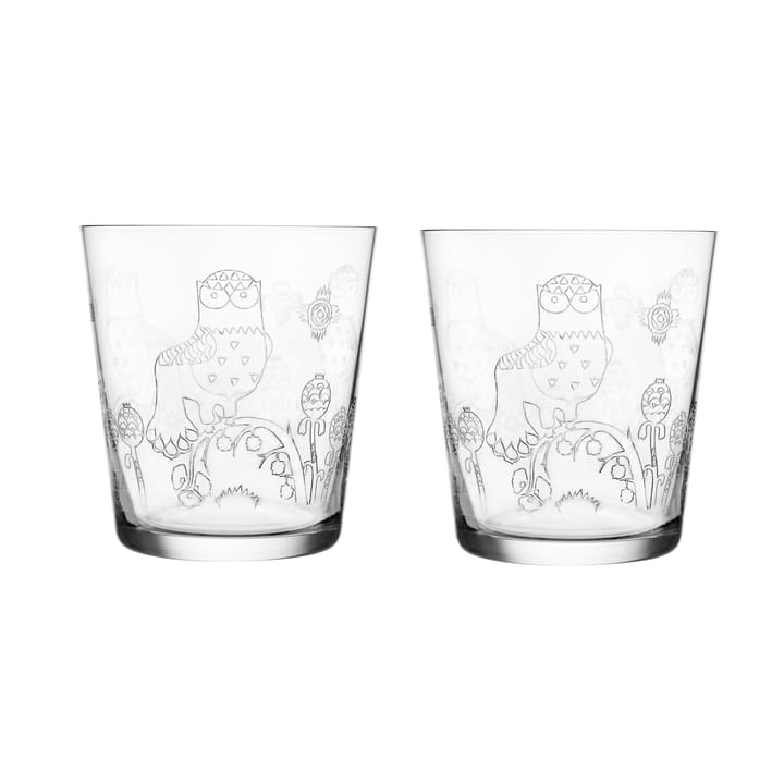 Taika lasi 2 kpl, 38 cl 2 kpl Iittala