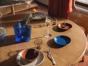 Teema lautanen 17 cm - Vintage sininen - Iittala