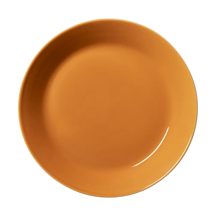 Teema lautanen Ø21 cm - Meripihka - Iittala