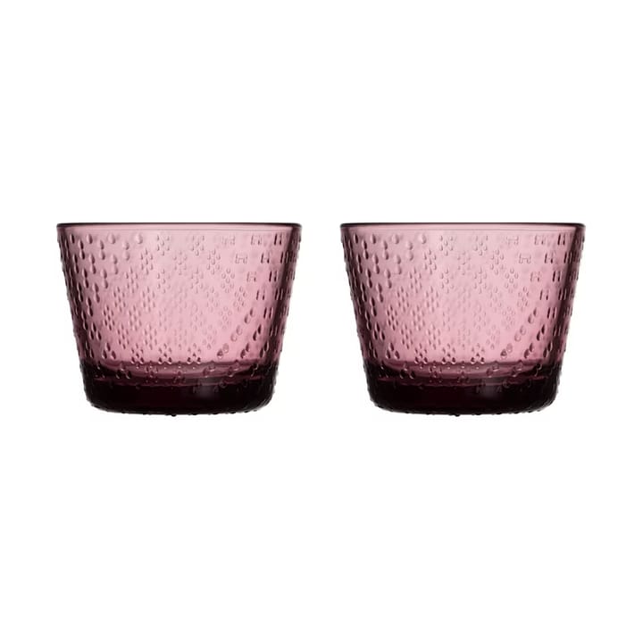 Tundra juomalasi 16 cl 2-pakkaus - Kanerva - Iittala