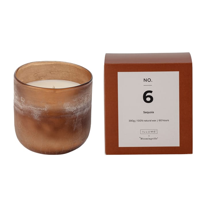 NO. 6 Sequoia -tuoksukynttilä - 390 g + Lahjarasia - Illume x Bloomingville