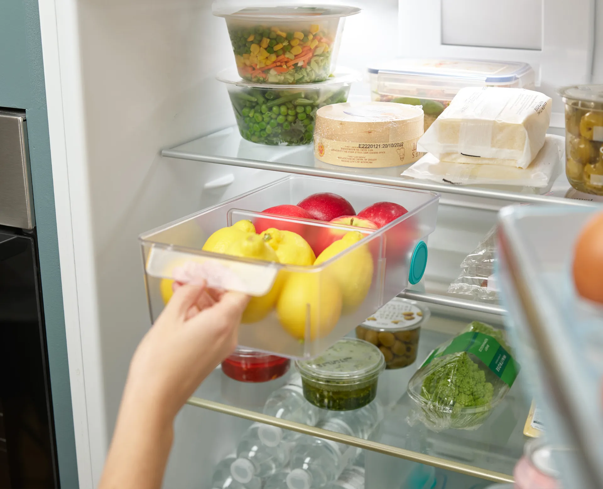 Fridgestore jääkaappisäilytys large, Läpinäkyvä Joseph Joseph