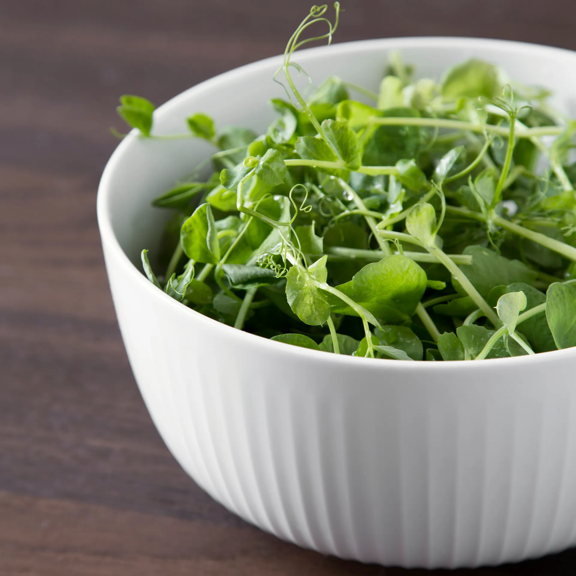 Hammershøi kulho Ø 21 cm, valkoinen Kähler