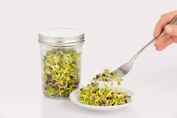 Kilner idätyssarja - Kirkas valkoinen, 500 ml - Kilner