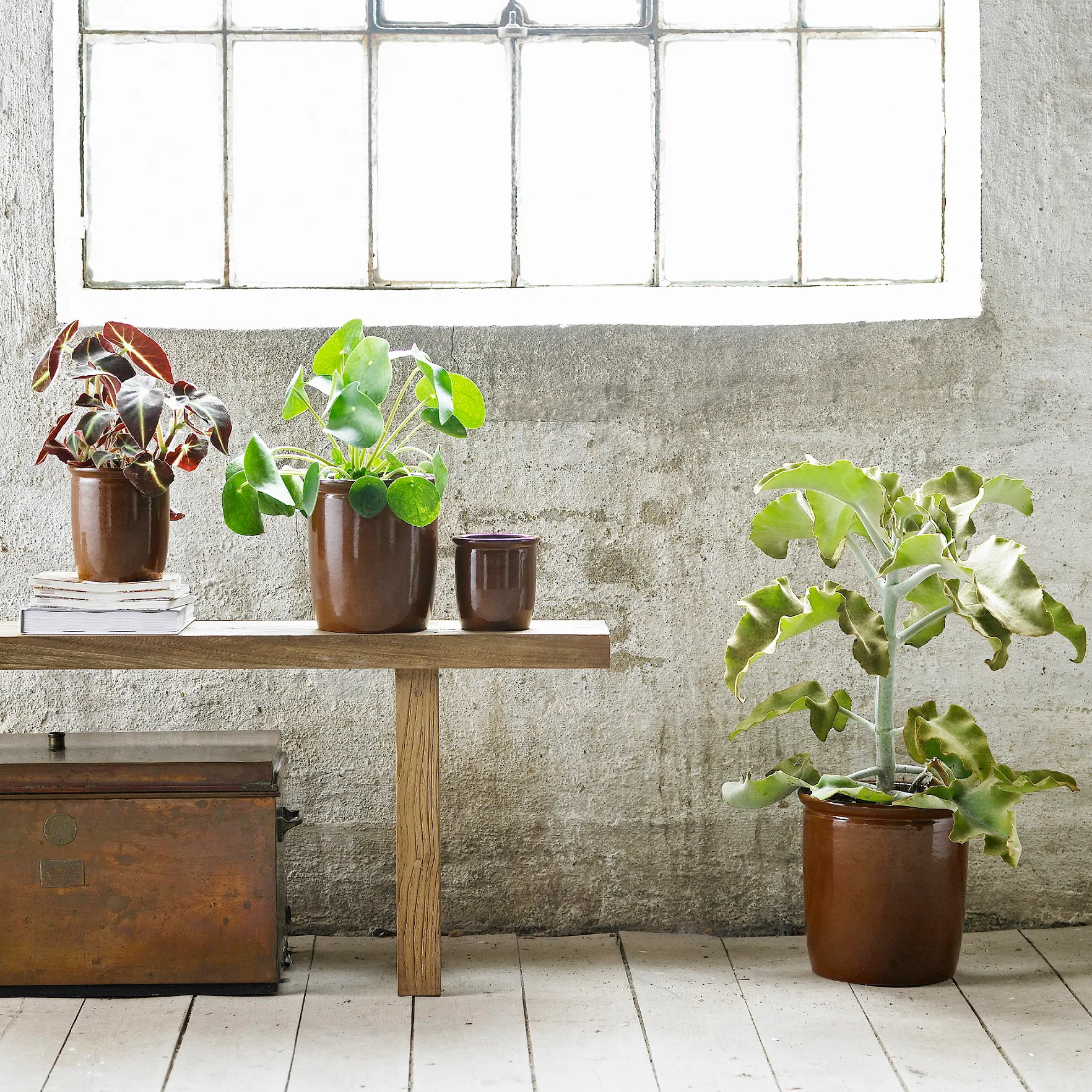 Pickle purkki 0,5 l, ruskea Knabstrup Keramik