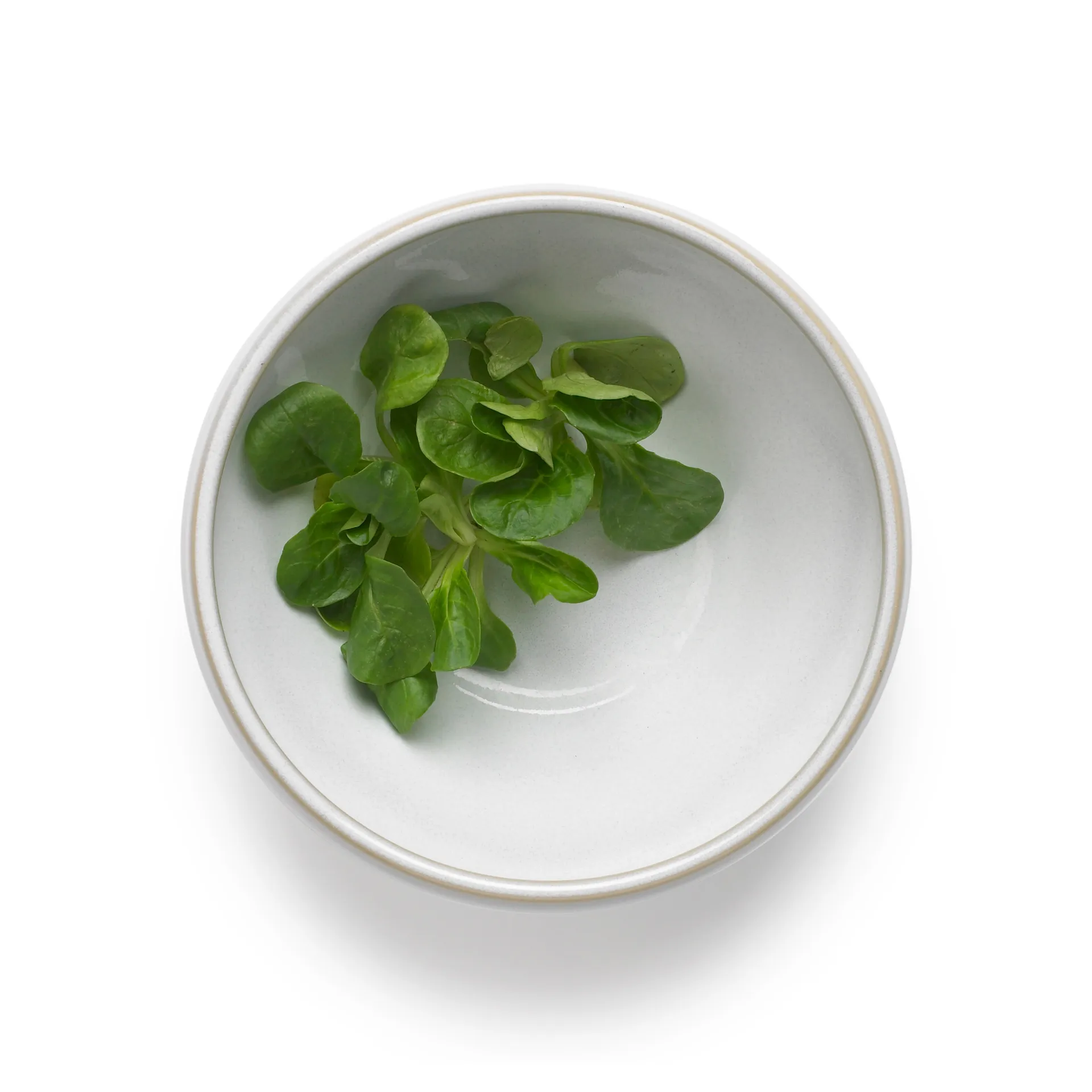 Tavola taikinakulho 0,5 L 2-pack, Valkoinen Knabstrup Keramik