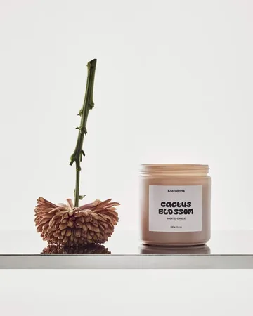 Mind tuoksukynttilä - Cactus Blossom, 330 g - Kosta Boda