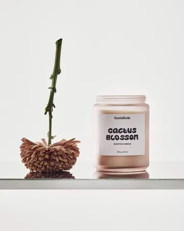 Mind tuoksukynttilä - Cactus Blossom, 550 g - Kosta Boda