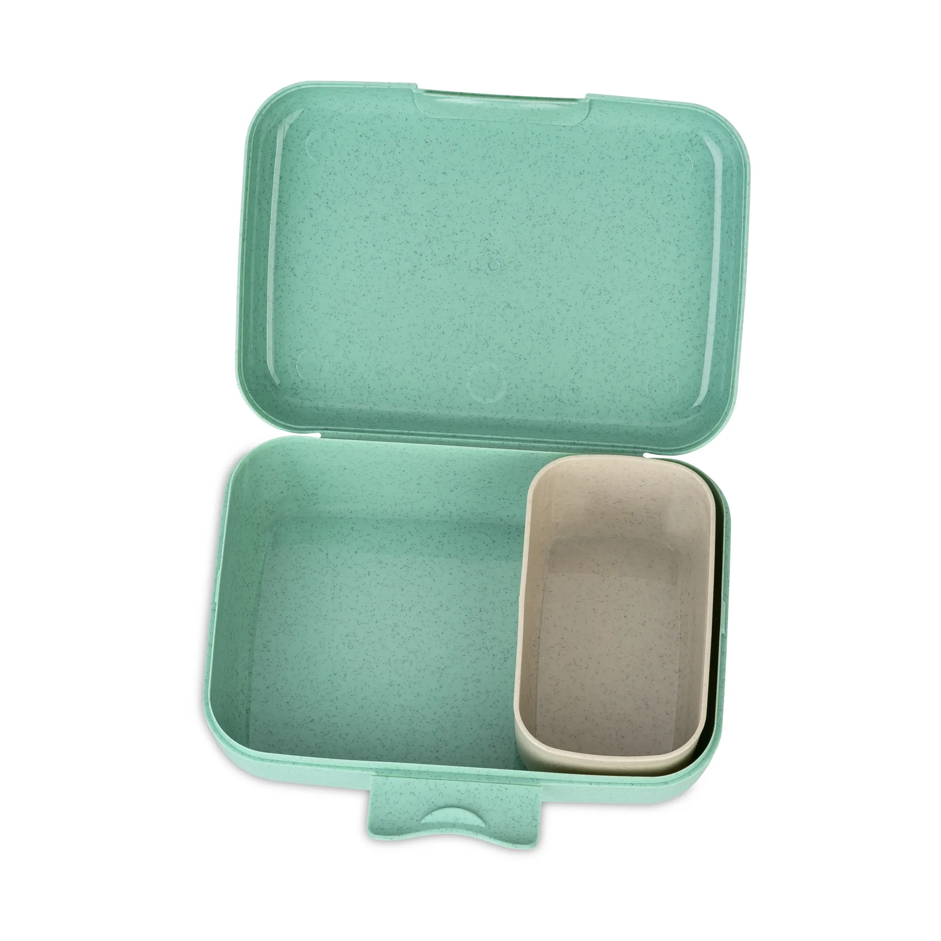 Candy eväsrasia L, Dinosaurus Koziol