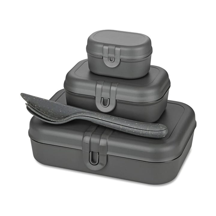 Pascal Ready Set 3 x lounasrasia ja aterimet - Nature ash grey - Koziol