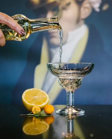 Chicago cocktaillasi 6-pack - 21 cl - La Rochère