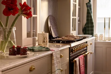 Lexington ekologinen puuvillainen keittiöpyyhe 50x70 cm - Vihreä-valkoinen - Lexington