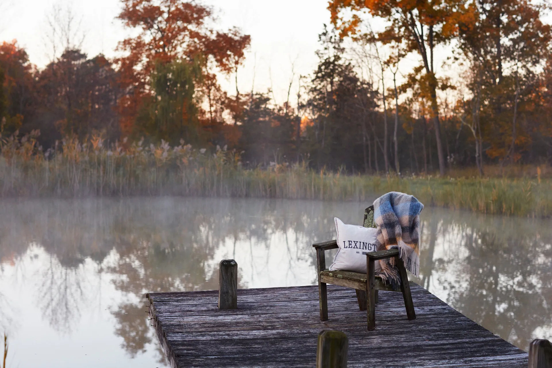 Logo Message Velvet tyynynpäällinen 50x50 cm, Light beige Lexington