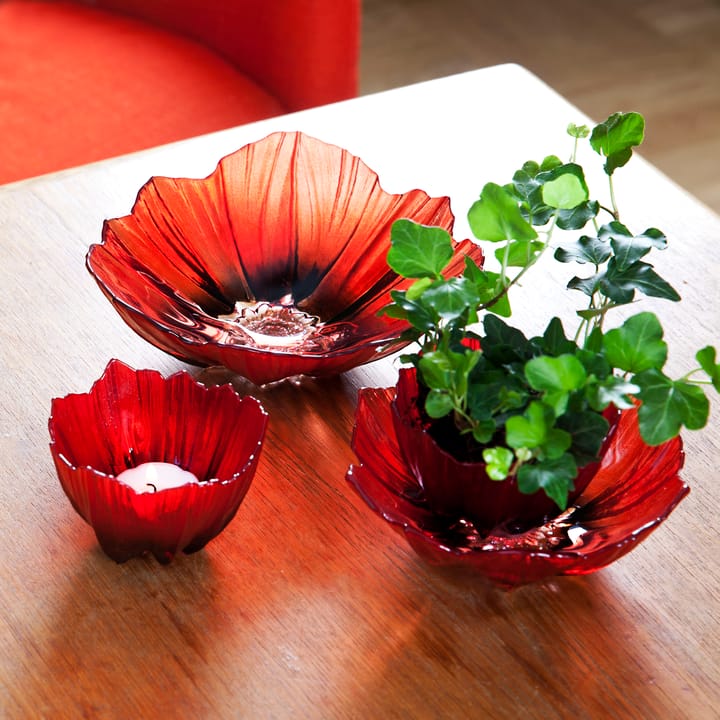 Poppy kulho keskikoko, Punainen-musta Målerås Glasbruk