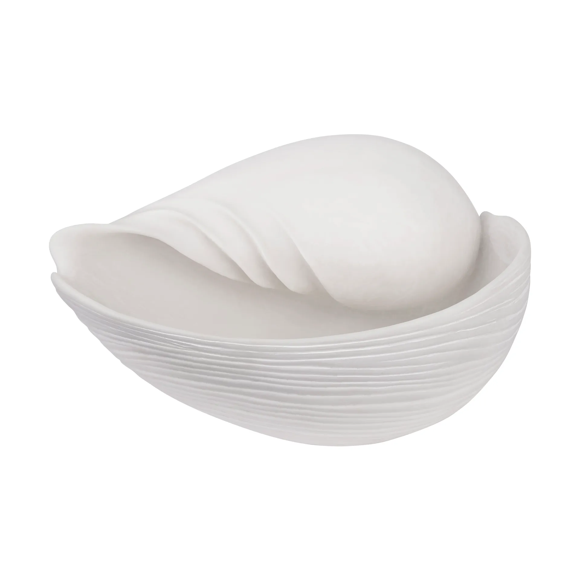 Conch koriste simpukka, Large Mette Ditmer