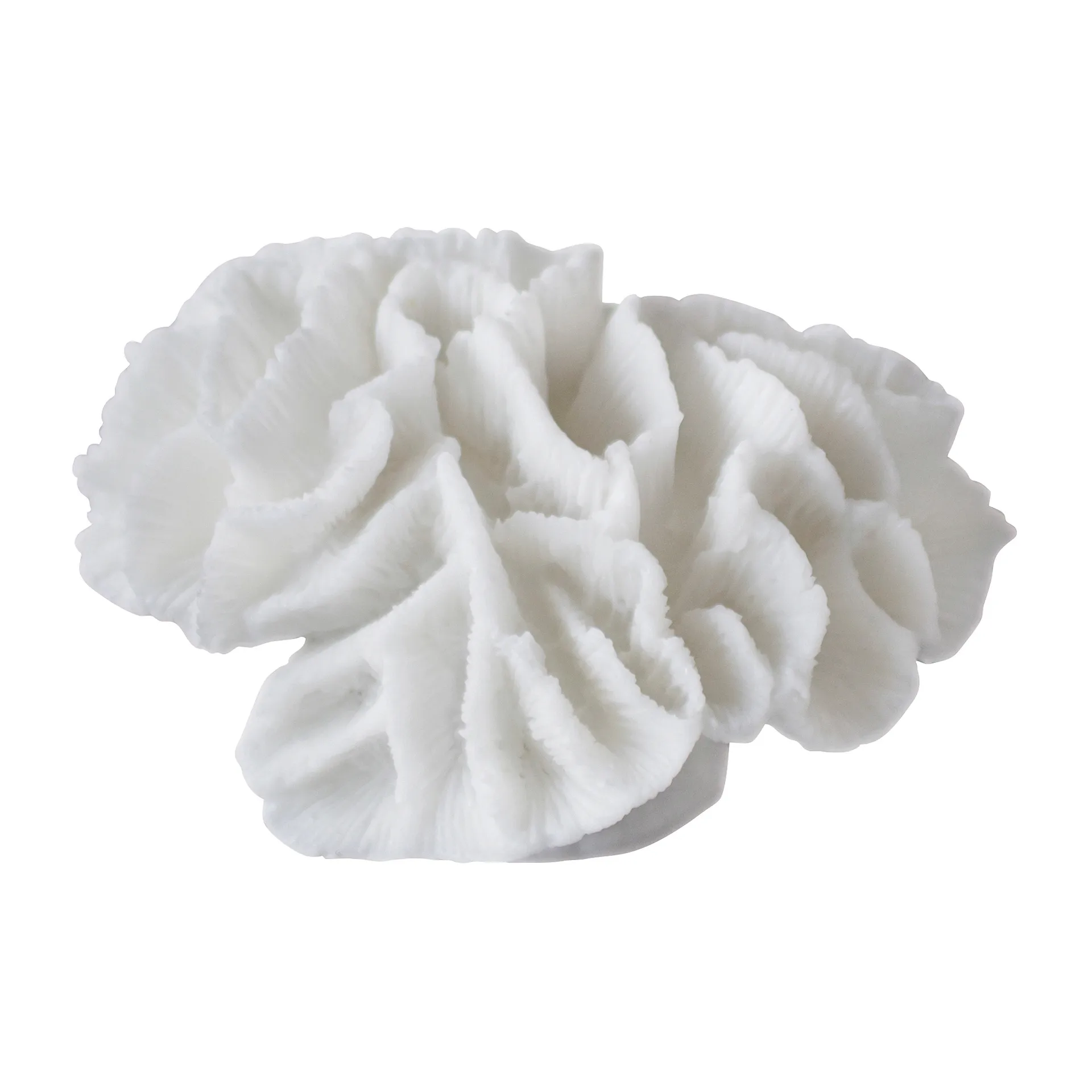 Coral gills, White Mette Ditmer