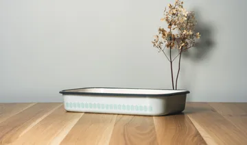 Vappu emaliuunivuoka 19 x 32 cm - Green - Muurla