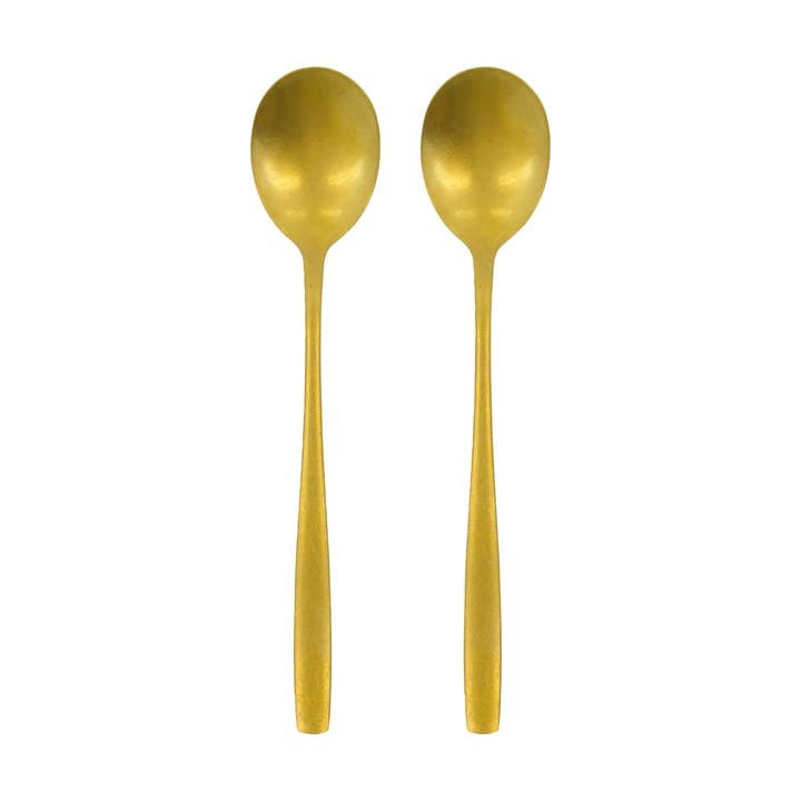 Daily tarjoilulusikat 2-pack - Kultaviimeistely - Nicolas Vahé