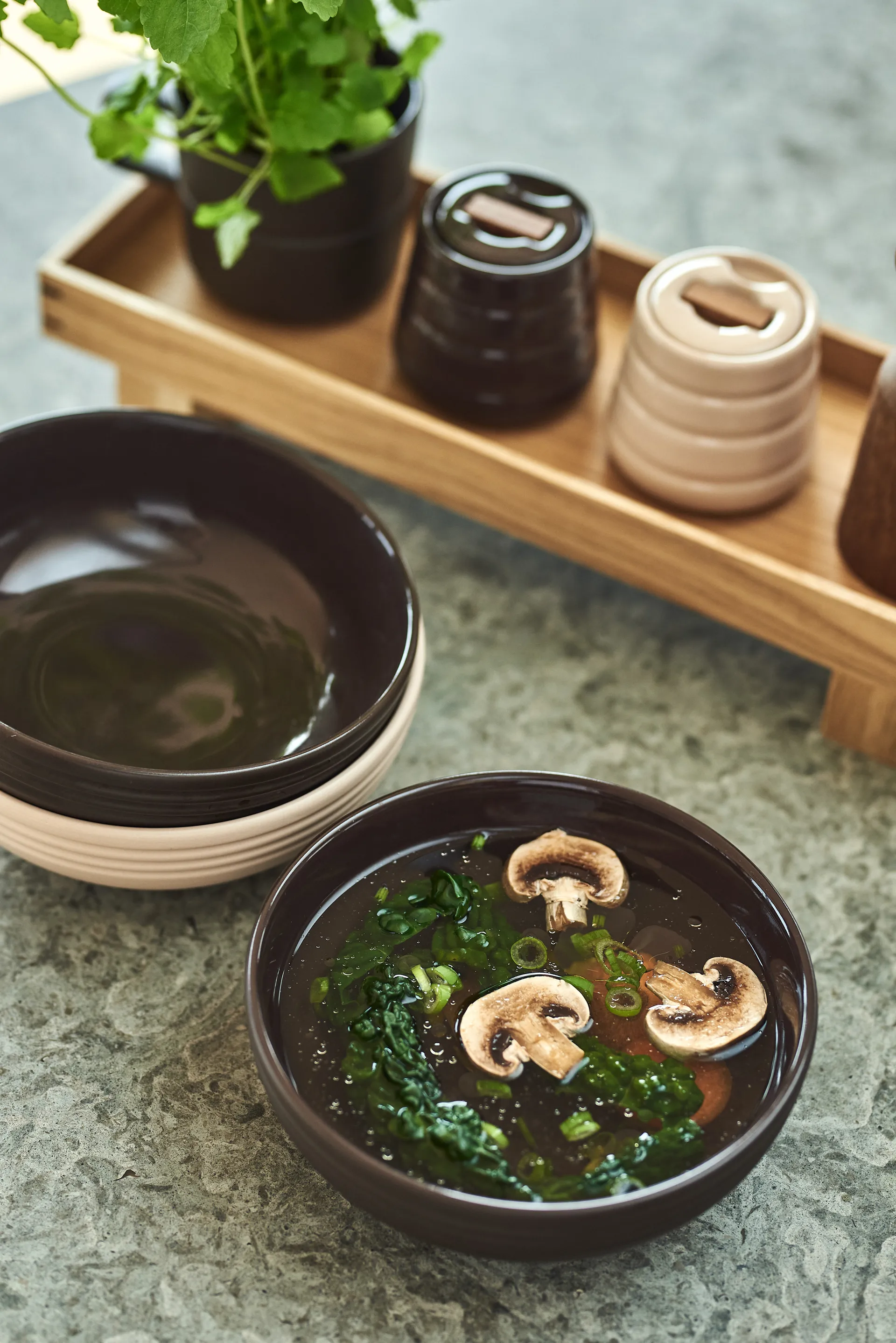 Lines-sokerikko, beige NJRD