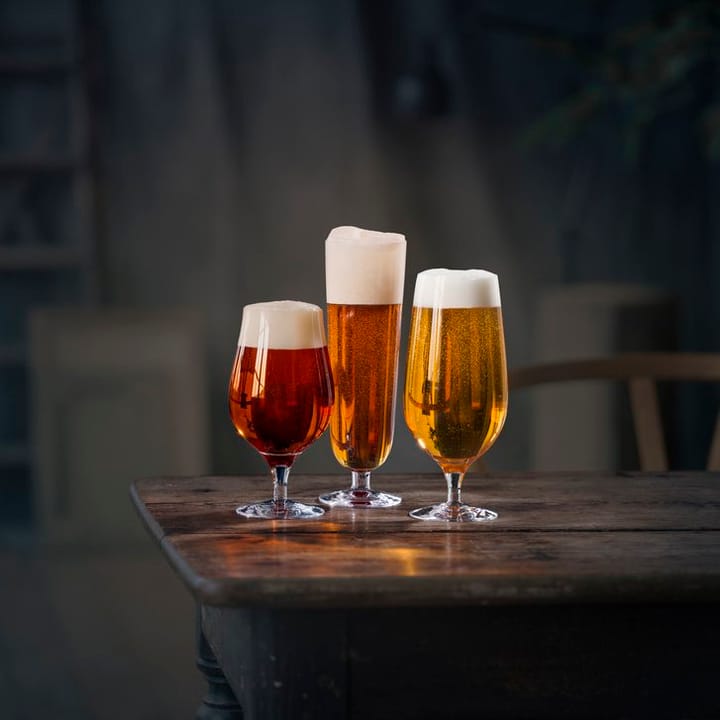 Beer taster -olutlasi 4 kpl, 4 kpl Orrefors