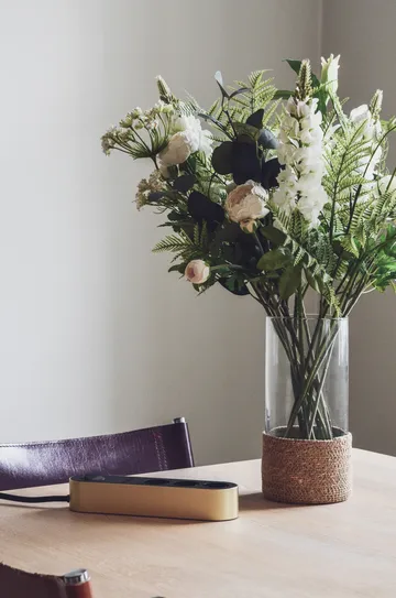 Edgar Power Bar jatkojohto - Satiinik messinki - palett3